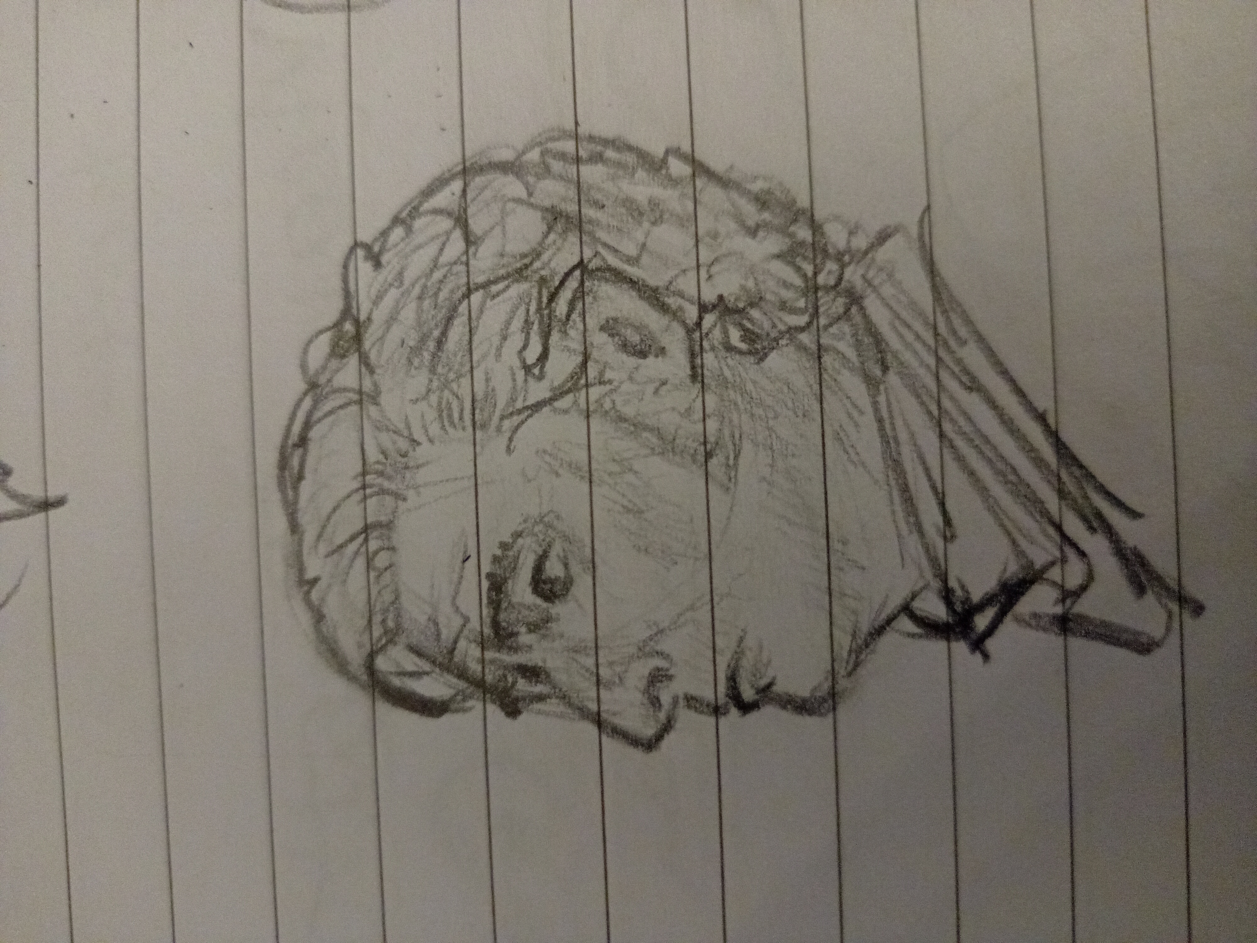 A side profile of Rhys Darby as Stede Bonnet. The drawing is done in pencil on lined paper, and ends at the neck. He has a slightly worried expression and is looking to the left.
