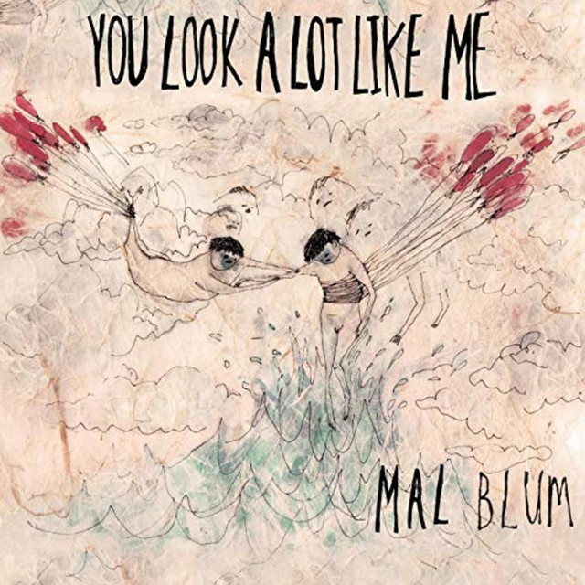 You Look A Lot Like Me album cover